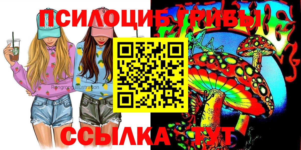 Галлюциногенные грибы Psilocybine cubensis Краснокамск