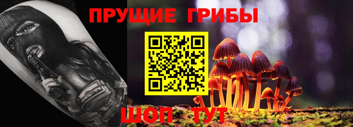 Краснокамск  Псилоцибиновые грибы Cubensis  Вход с VPN 